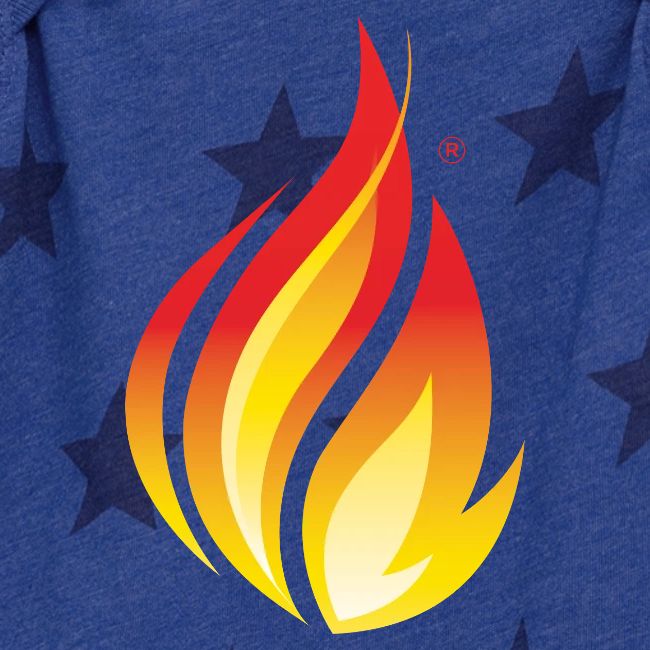 HL7 FHIR Flame Logo