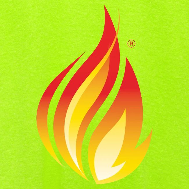HL7 FHIR Flame Logo