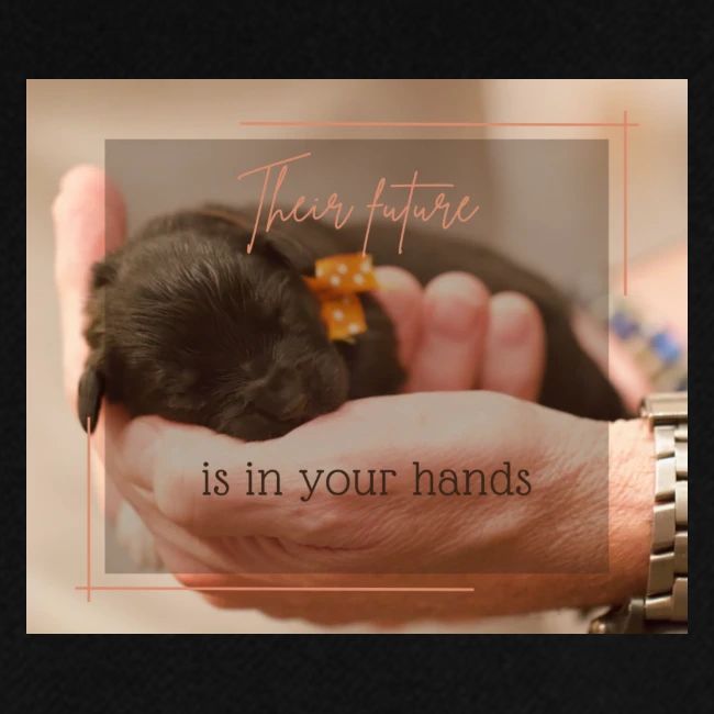 Their Future is in Your Hands