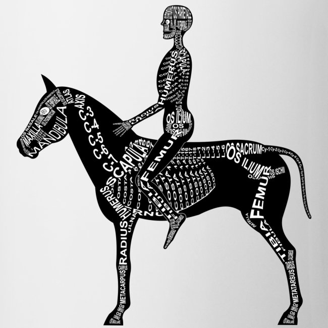 Skeleton Equestrian