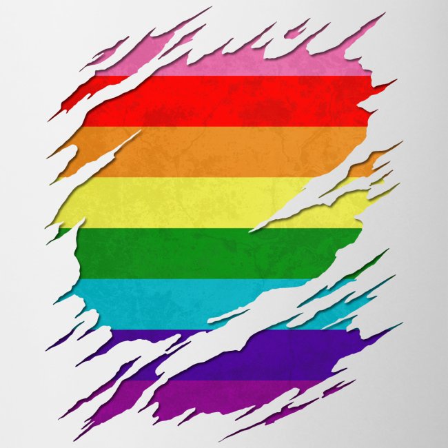 Original Gilbert Baker LGBT Gay Pride Flag Ripped