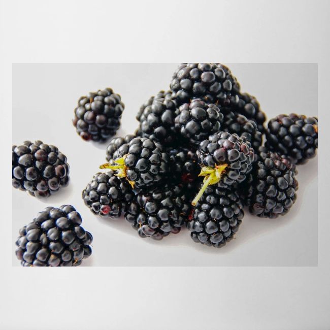 Blackberry Photo