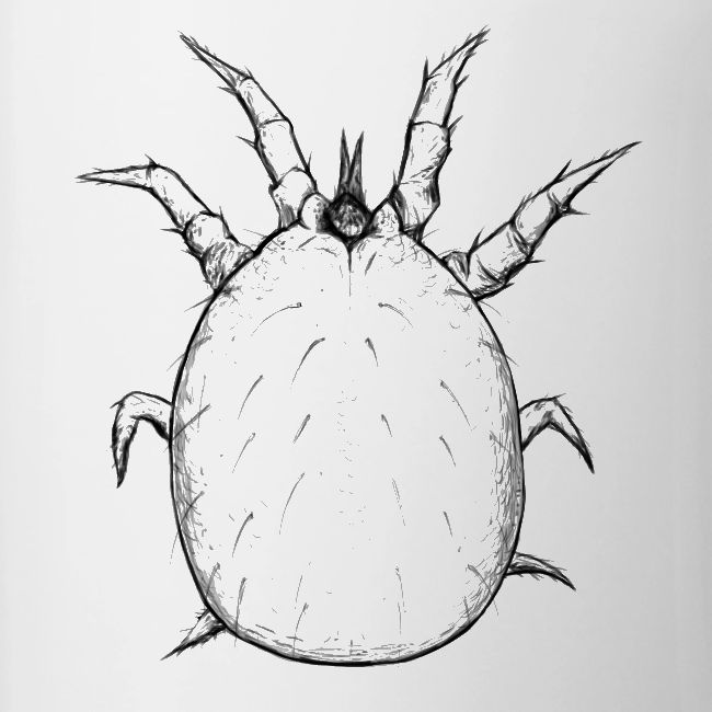 Soil dwelling mite