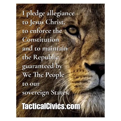 I pledge allegiance - Coffee/Tea Mug
