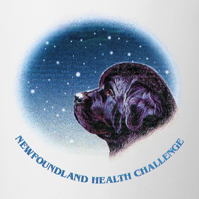 NCA Newfoundland Health Challenge Logo Gear