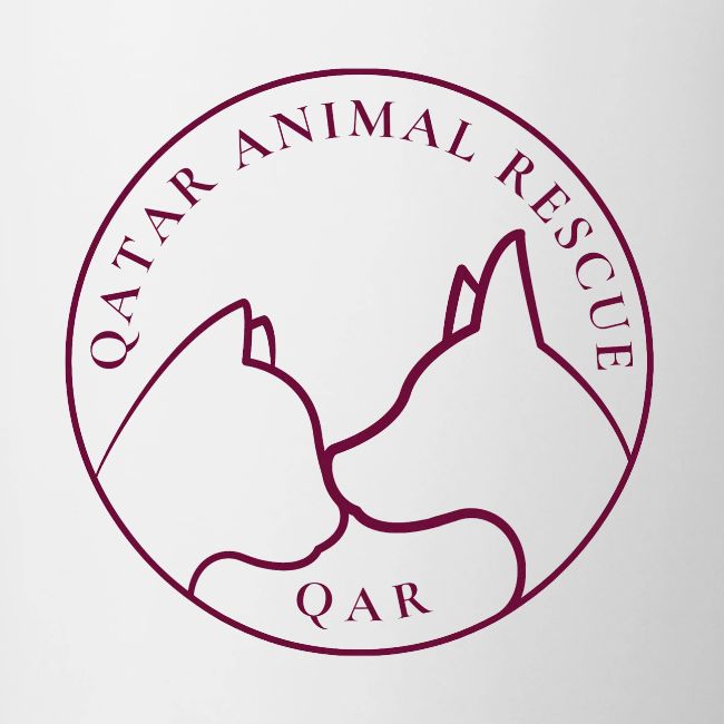 Merch with Maroon Logo