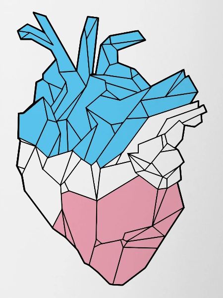 Trans Heart