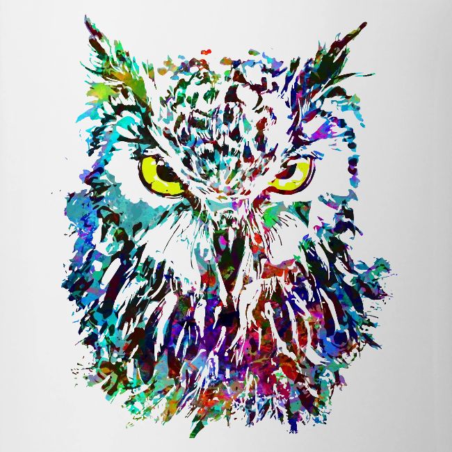Colorful Owl - Owlet Head Drawing