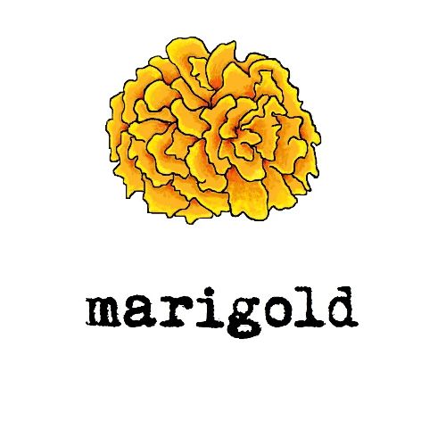 Marigold (black text)