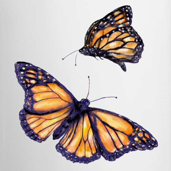 2 butterflies
