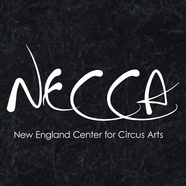 NECCA Pride Shirt