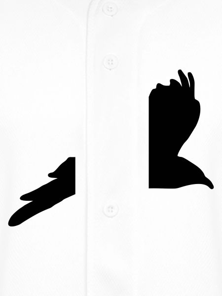 Raven, Crow