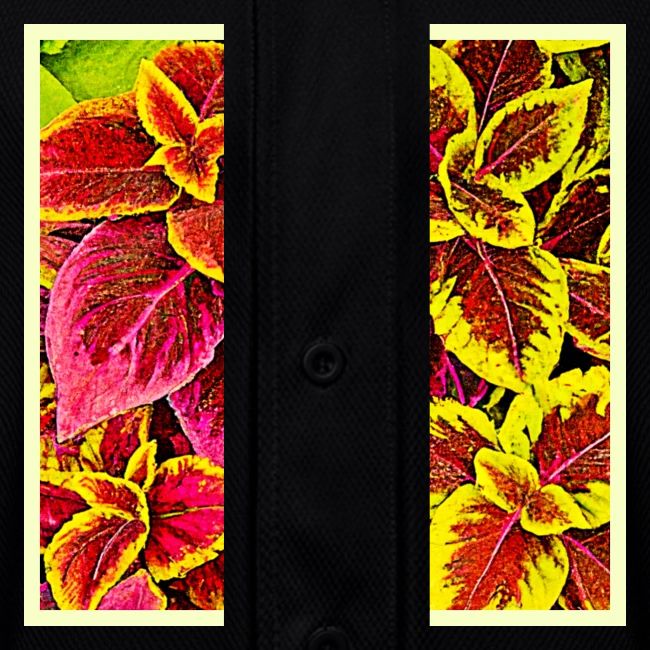 Coleus Leaf Burst Design