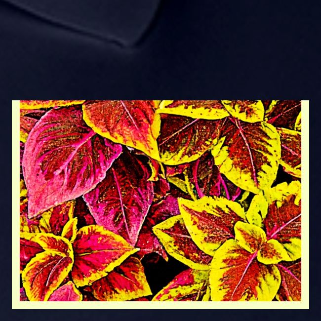 Coleus Leaf Burst Design