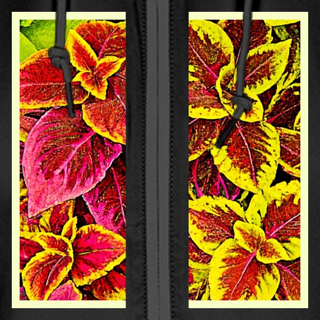 Coleus Leaf Burst Design