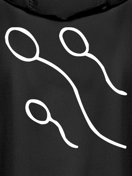 Sperm Cells