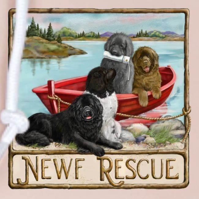 NCA Newfoundland Dog Rescue Gear