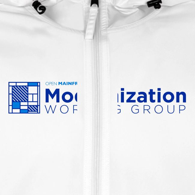 Modernization WG