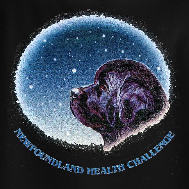 NCA Newfoundland Health Challenge Logo Gear