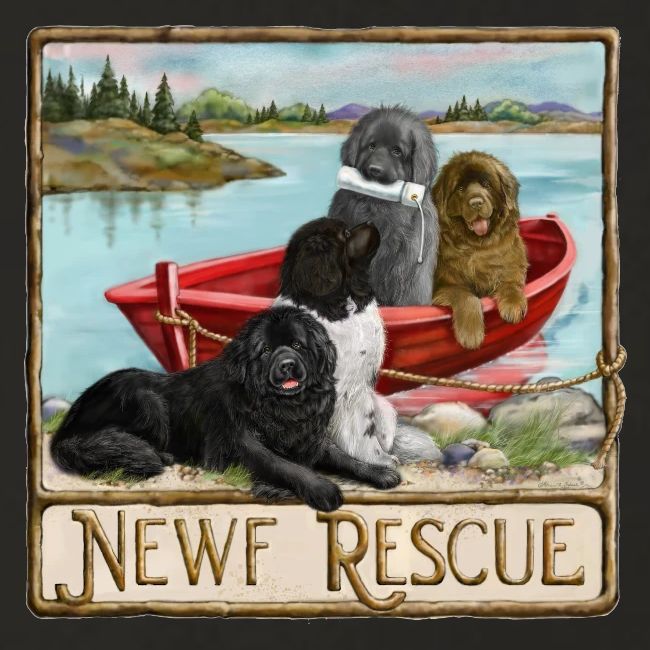 NCA Newfoundland Dog Rescue Gear