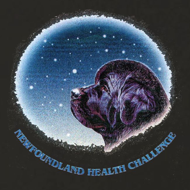 NCA Newfoundland Health Challenge Logo Gear