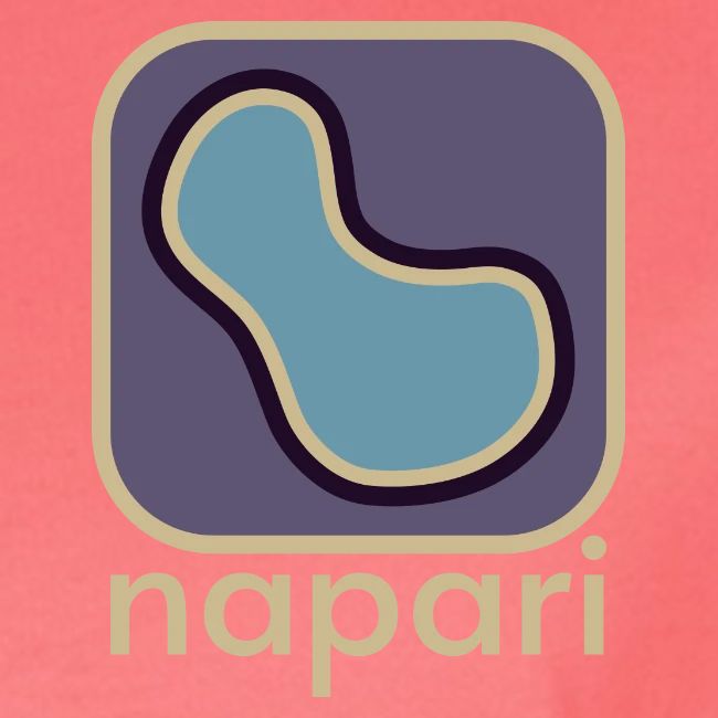 napari pocket logo light design