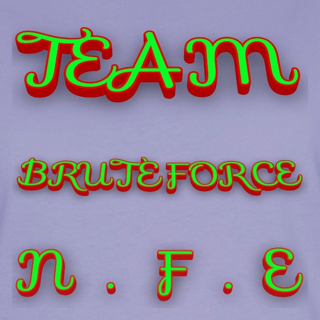 TEAM BRUTEFORCE