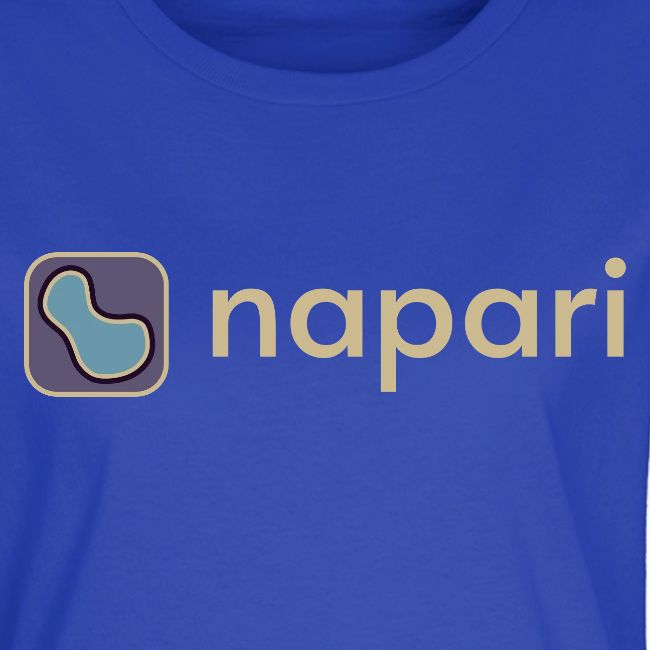 napari merch (lighter design)