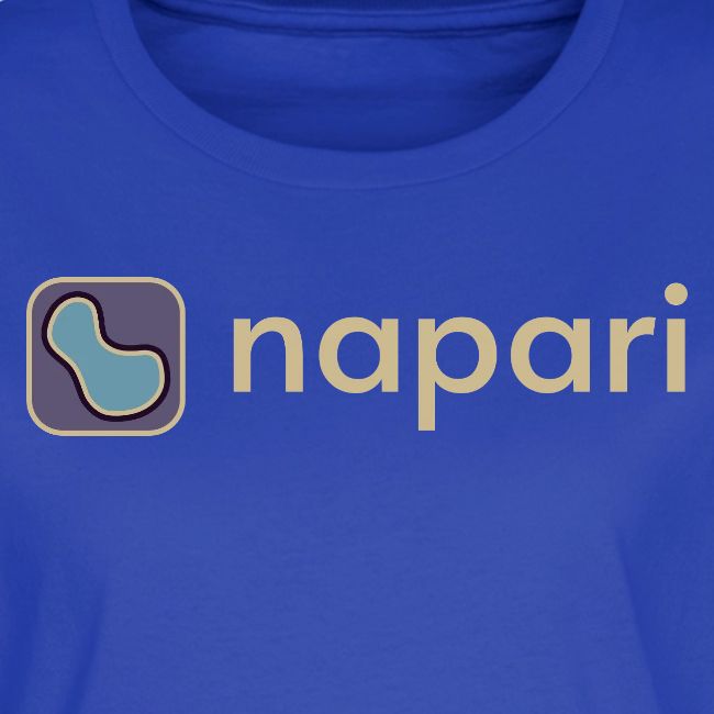 napari merch (lighter design)