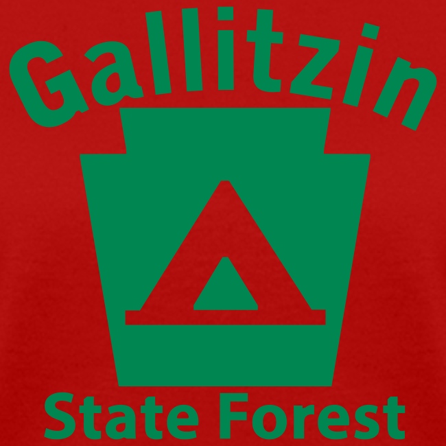 Gallitzin State Forest Camping Keystone PA