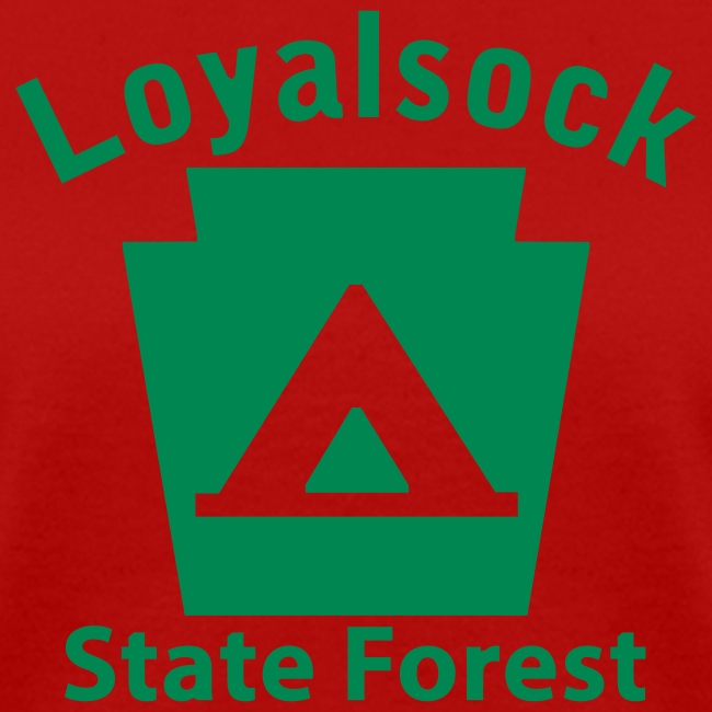 Loyalsock State Forest Camping Keystone PA