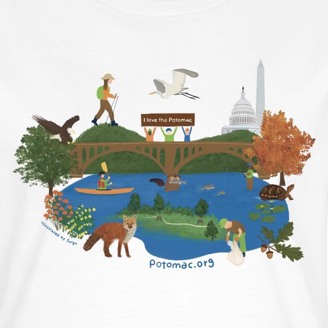 Icons of the Potomac