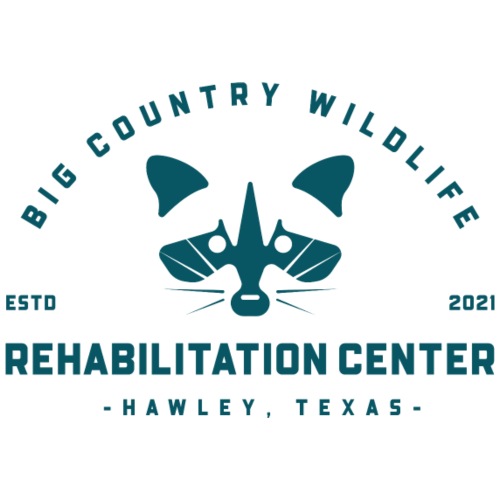 Gage at Big Country Wildlife Rehabilitation Center - Women's T-Shirt