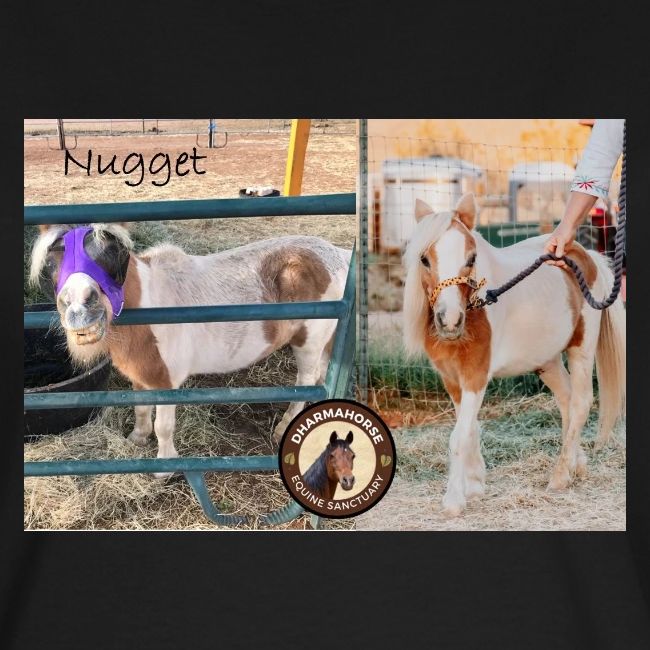 Nugget
