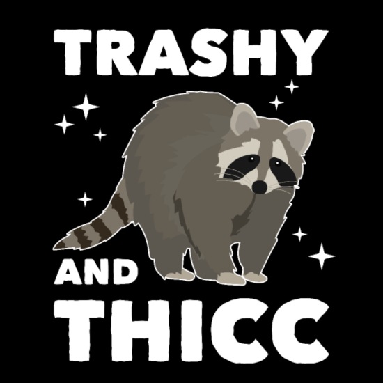 Funny Raccoon Trash Panda Meme Sarcastic Gift Idea' Women's T-Shirt |  Spreadshirt