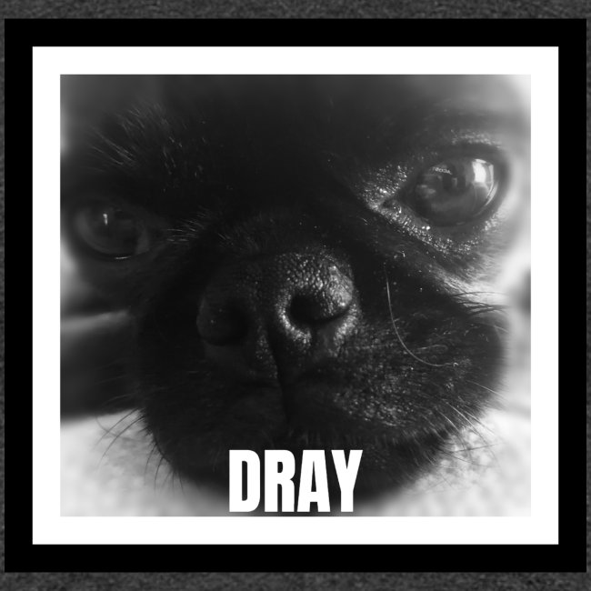 Drayconic Dog Frame Design