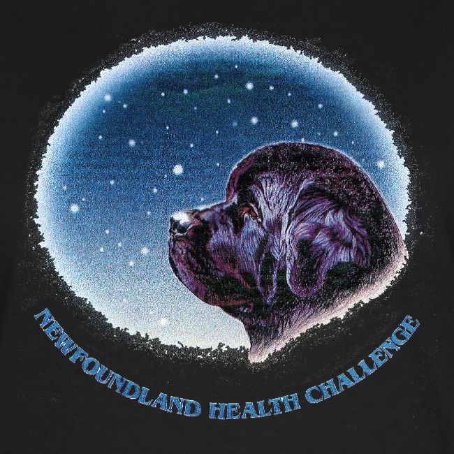 NCA Newfoundland Health Challenge Logo Gear