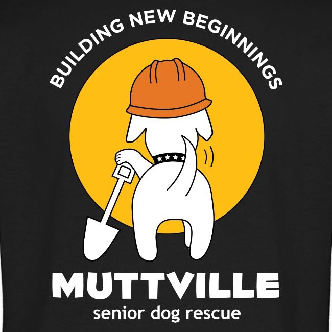 Building New Beginnings