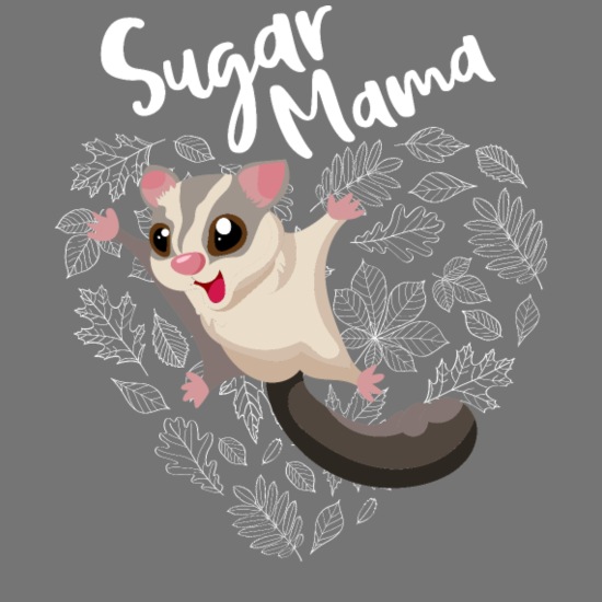 Sugar mama glidder funny flying animal hamster' Women's T-Shirt |  Spreadshirt