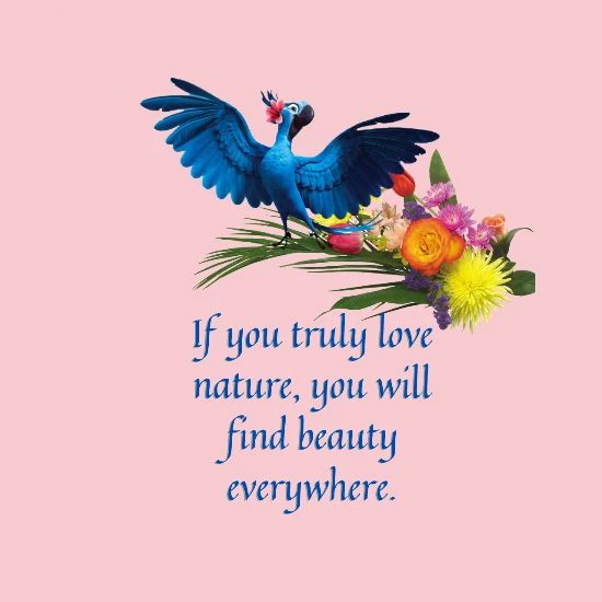 Rio Bird Quotes Category:Quotes | Rio Wiki | Fandom