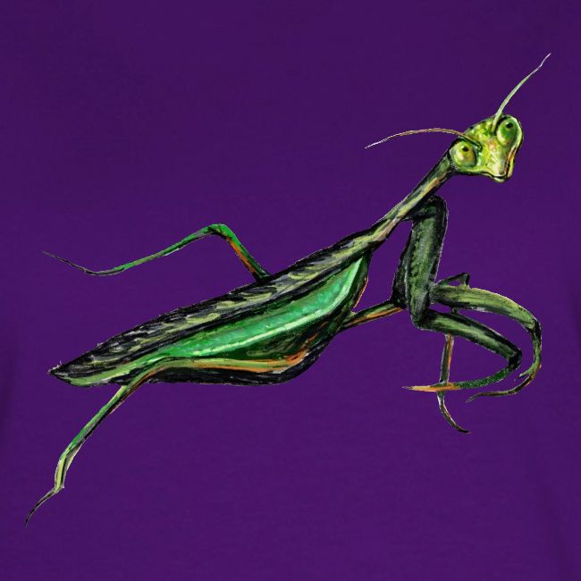 Praying mantis