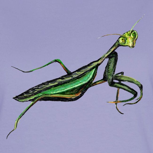 Praying mantis