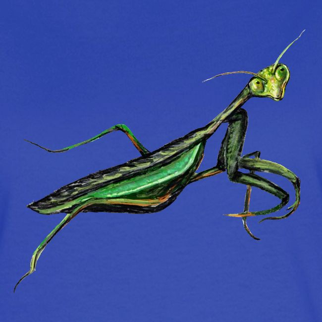Praying mantis