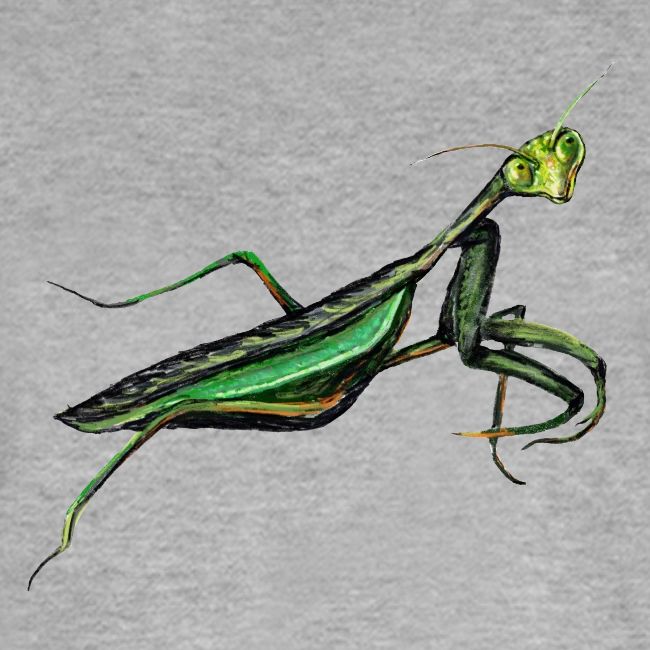 Praying mantis