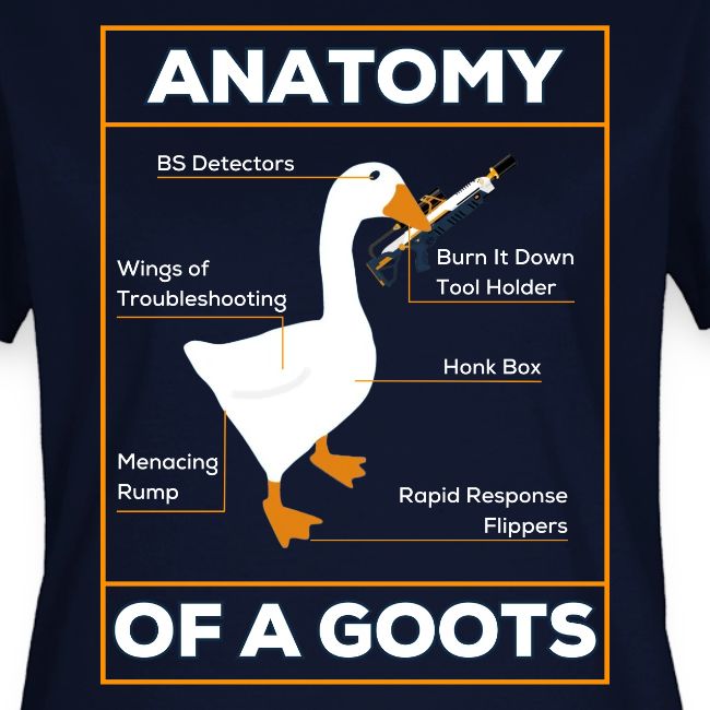 ANATOMY OF A GOOTS v1