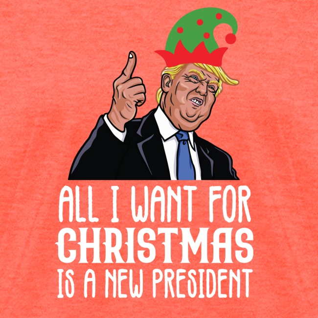 All I Want For Christmas Is A New President Gift