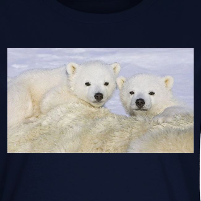 polarbears