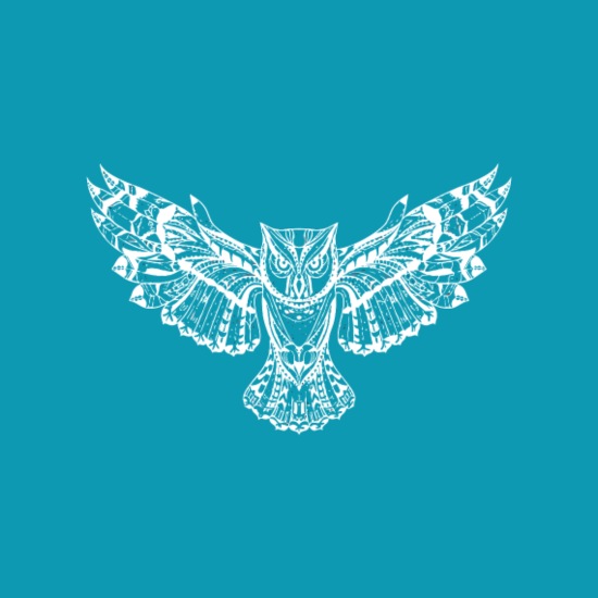 Owl Owl Spirit Animal Gift Tee' Women's T-Shirt | Spreadshirt