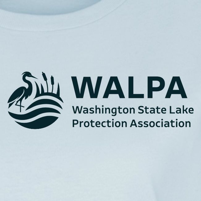 WALPA Double Sided Design 3