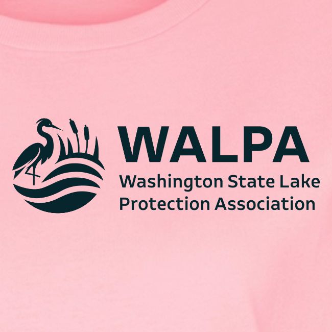WALPA Double Sided Design 3